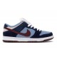 Nike Dunk SB Low FTC Finally 313170463