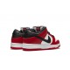 Nike SB Dunk Low J-Pack Chicago BQ6817600