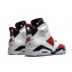 Jordan 6 Retro Carmine (2021) CT8529106